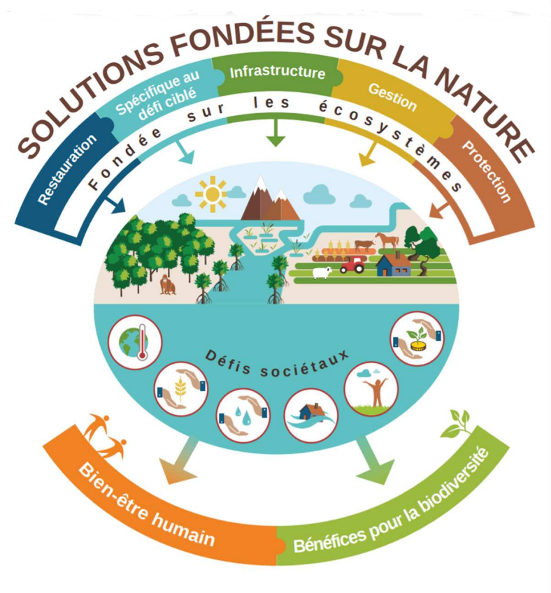 CeremaCom's tweet photo. 💧 Prévention du risque inondation et résilience territoriale: retour sur la Conférence Technique Territoriale du #Cerema du 25 novembre 2022
#inondations
#milieuxhumides
#eau
https://t.co/TA7IKkSk6Z https://t.co/qb0uMA4umB