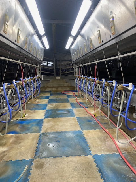 DortmansB's tweet photo. An update to @WeAreBouMatic Flow-Star Max claws allows this parlour the ultimate advantage in milking.🥛
#dortmansbros #BouMatic #dairyfarming #ontag https://t.co/zpHUeFv43A