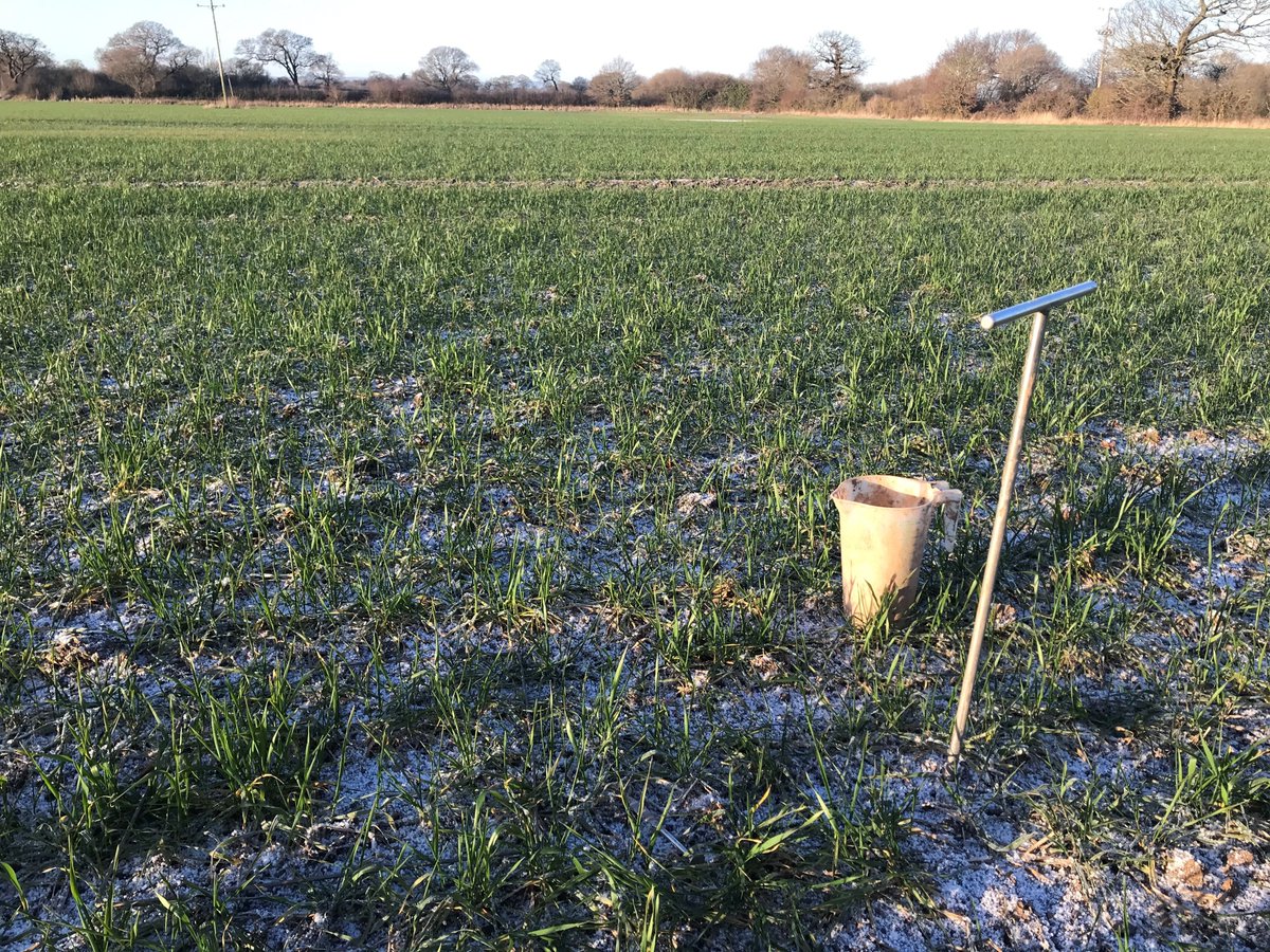2022’s unpredictable weather means that managing nitrogen inputs successfully for the new year is particularly important. The most effective way to do this is through soil nitrogen supply assessment. Read Alli Grundy’s latest blog to learn more: cawood.co.uk/blog/soil-nitr…