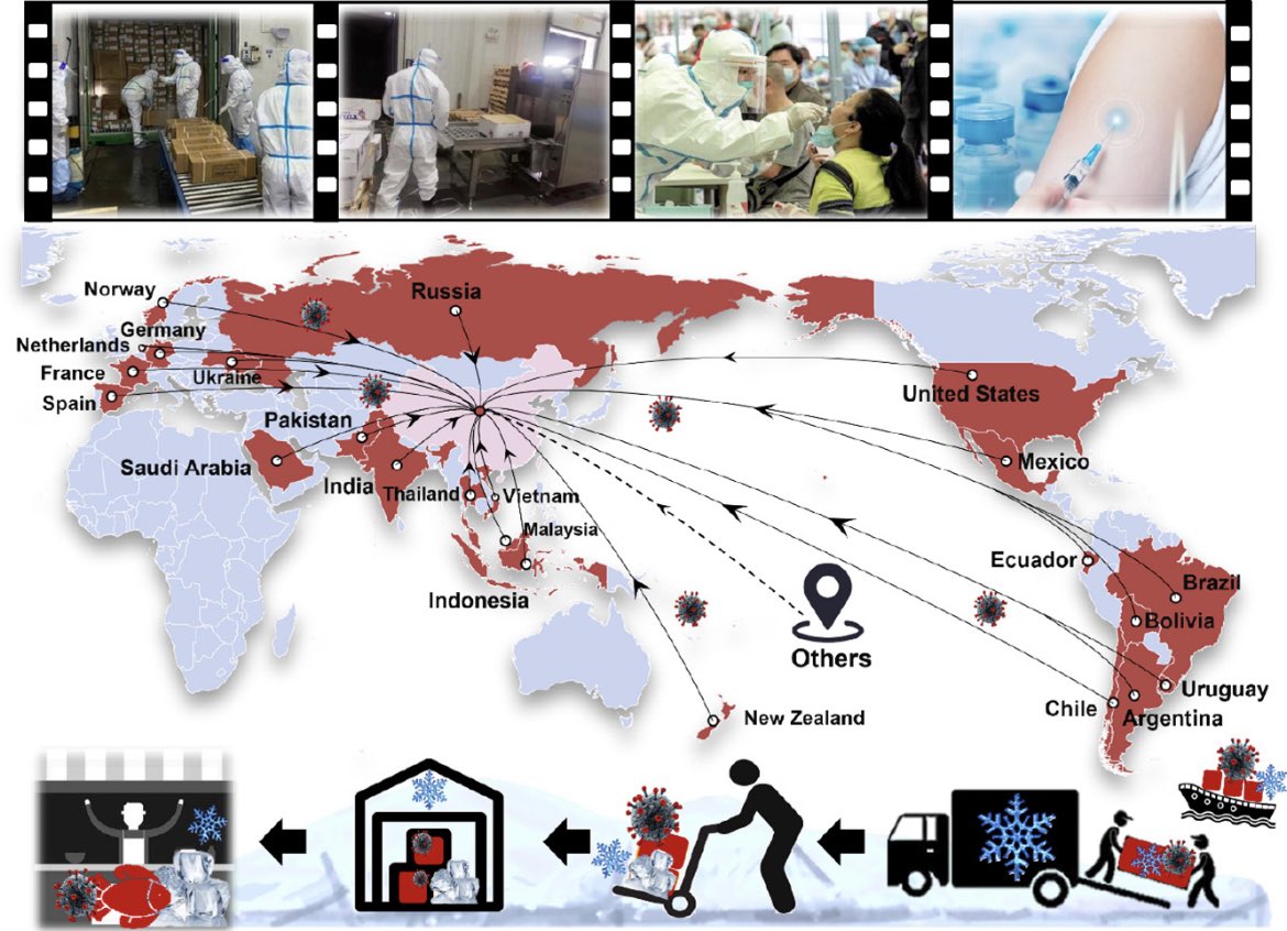 🦠🧊#COVID #Congelador
➡️El #SARSCoV2 sobrevive meses congelado.

🚨Lávate las manos después de cocinar alimentos congelados, cocina bien los alimentos