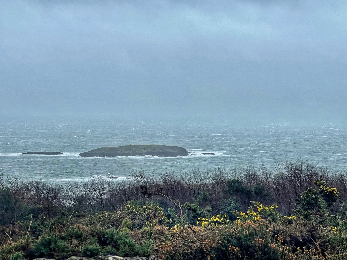 BantryBay …Wild & Wonderful ⁦@pure_cork⁩ ⁦@SouthernStarIRL⁩ ⁦@portofcorkmedia⁩ ⁦@AlisonTodayFM⁩ ⁦@alisonoconn⁩ ⁦@corkbeo⁩