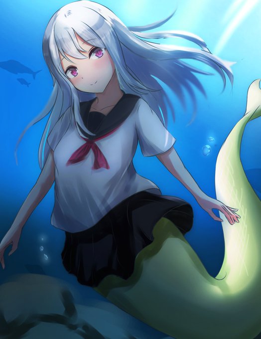 お題箱の人魚です 