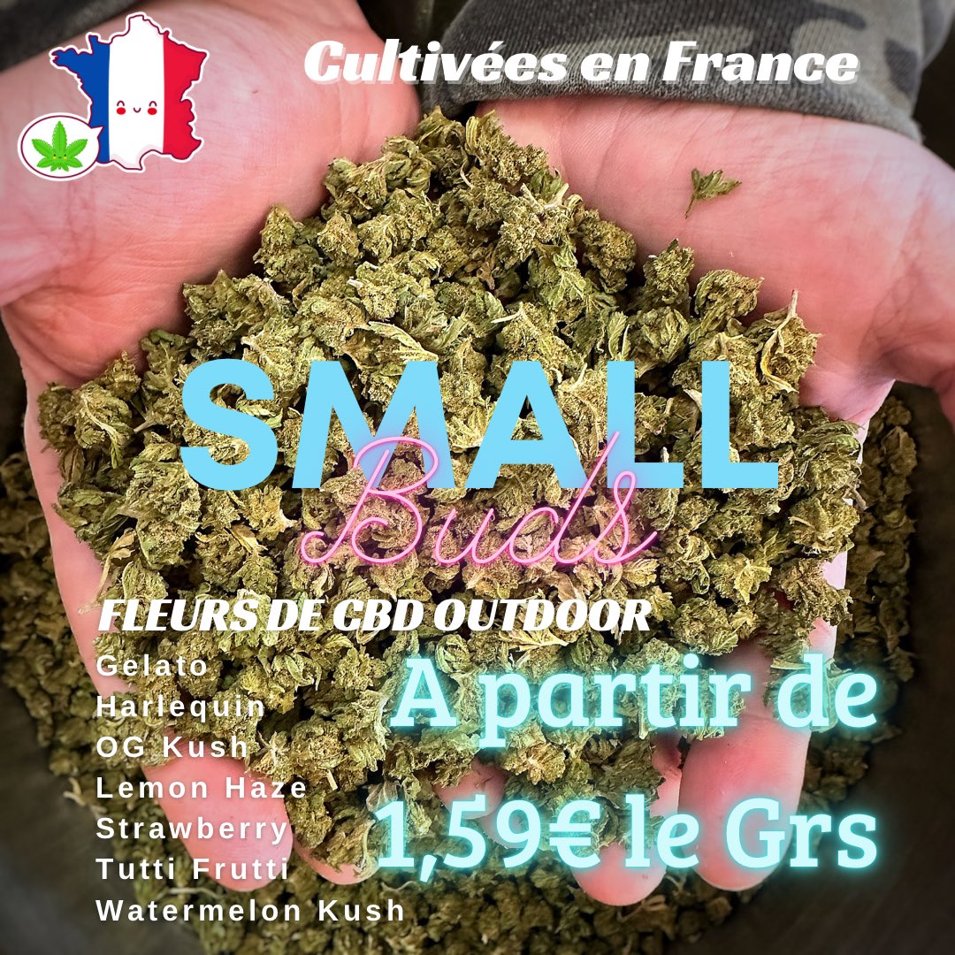 Weed In Vape - CBD VAPE Montceau Les Mines (@WeedInVape) / Posts / X