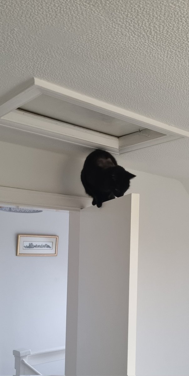 It's one of those days is it?