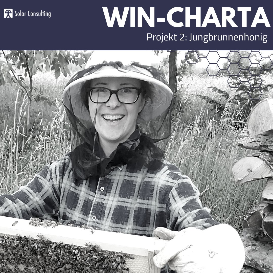 Solar Consulting tweet media