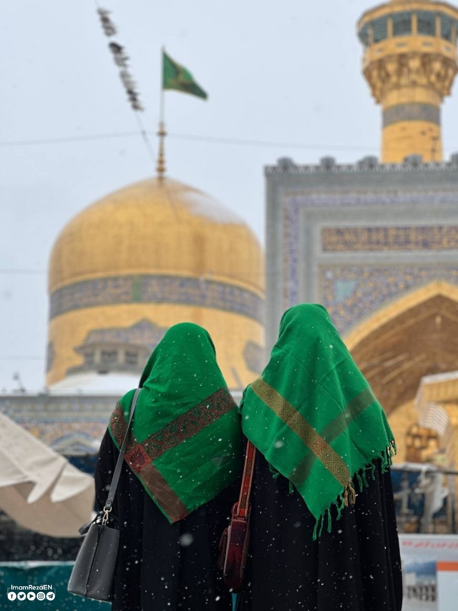 ImamRezaEN's tweet photo. #YourCaption https://t.co/bEFfRZ5S6R