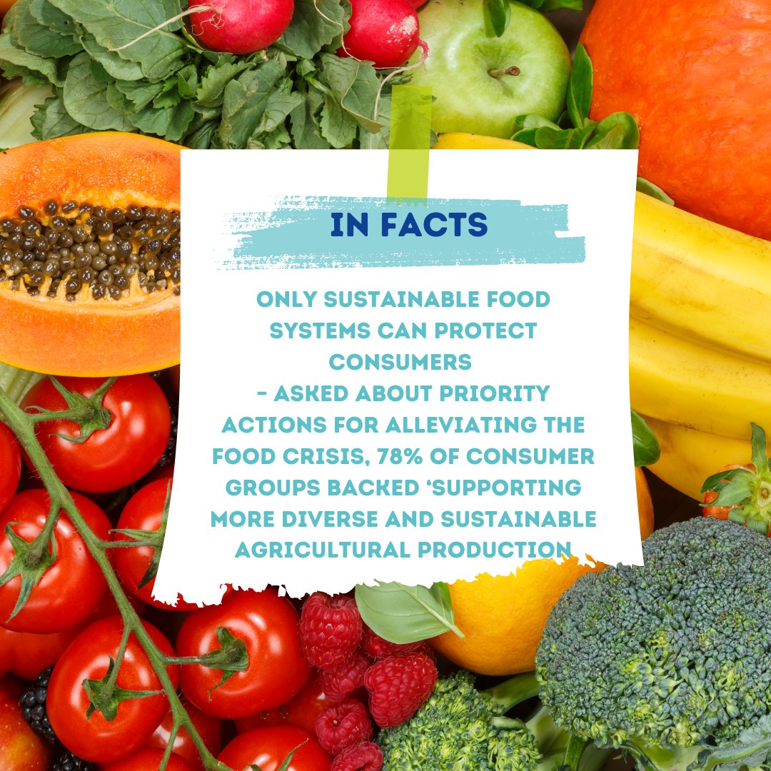 World Union of Wholesale Markets (WUWM) tweet media