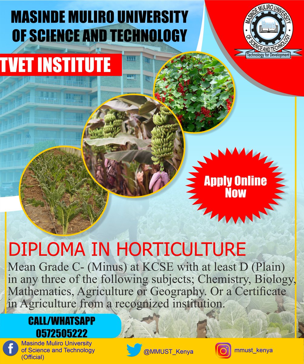 MMUST_Kenya's tweet photo. Are you looking to pursue a course that will give you a chance to work outdoors, be creative and turn a passion into a career? 
MMUST invites you to study #Horticulture! Login to https://t.co/eIByGXMffs  and apply today! 
#WelcometoMMUST #JanuaryIntake #TVET  #SkillsForAll https://t.co/VaGQzrNdyt