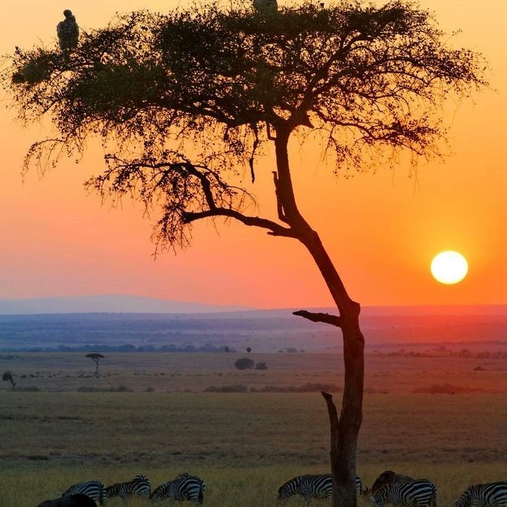 Records d'un dels meus viatges al Congo 🥰🥰🥰🥰🥰🥰