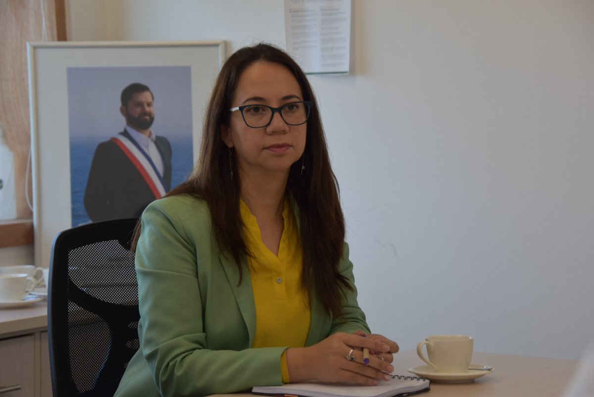 SenameLosLagos's tweet photo. Director regional (s), Cristian Andrade, se reúne con la directora de la escuela de informática y telecomunicaciones de @DuocUC sede #PuertoMontt, Carolina Martínez, buscando generar alianzas para el trabajo por la reinserción social de jóvenes en conflicto con la justicia. https://t.co/BoAvyFcF6j