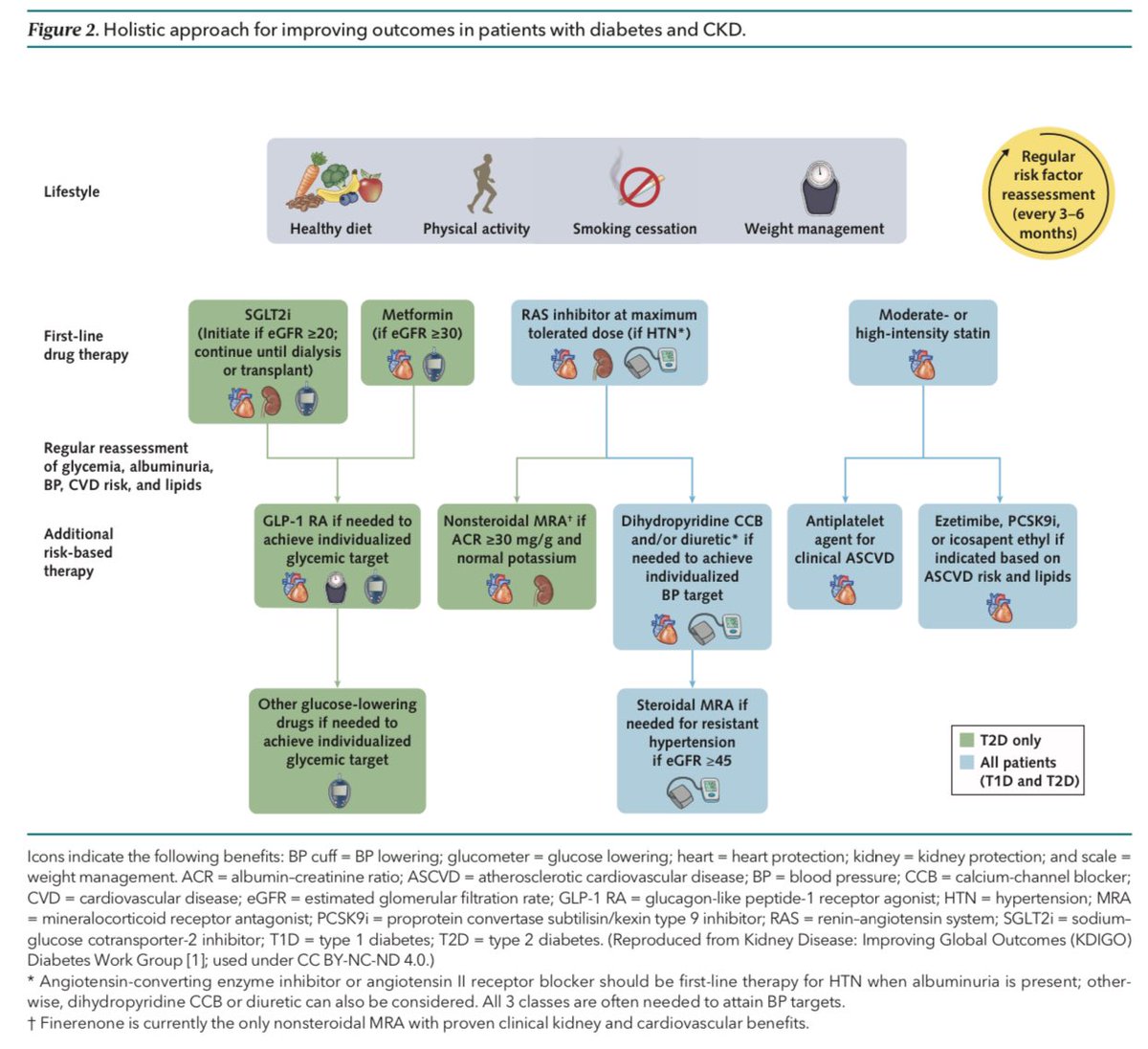 Edgar V. Lerma 🇵🇭 on Twitter "Diabetes Management in CKD Synopsis of