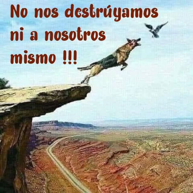 Jova15Mary's tweet image. No nos dediquemos a destruir a otros, porque puedes destruirte a ti mismo !!!
#FelizMartes
#10Ene23
#CuidemonosEntreTodos