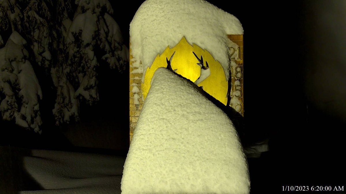 ❄️ Don’t sleep in, it’s a Powder Day at #DeerValley! We have received 19” of snow in the last 24 hours and it’s still snowing. Get the full report here: deervalley.com/explore-the-mo…