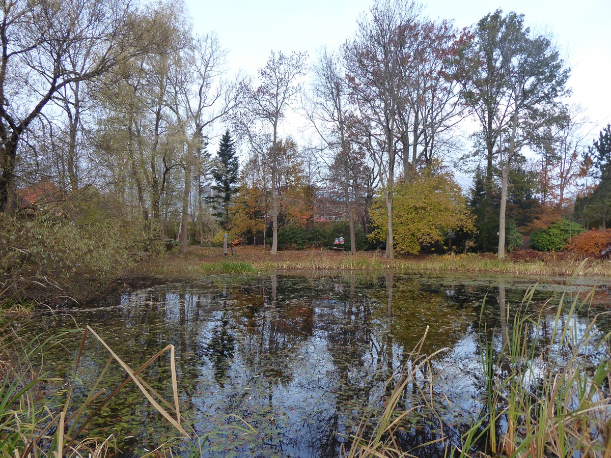 Mike Peacock tweet media