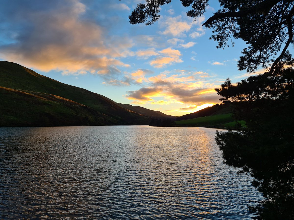 Dunking Dollys tweet media