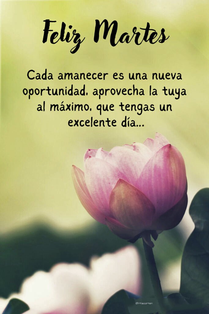 rtiscarten's tweet image. #Buenos_dias #FelizMartesATodos 😃👍🏻