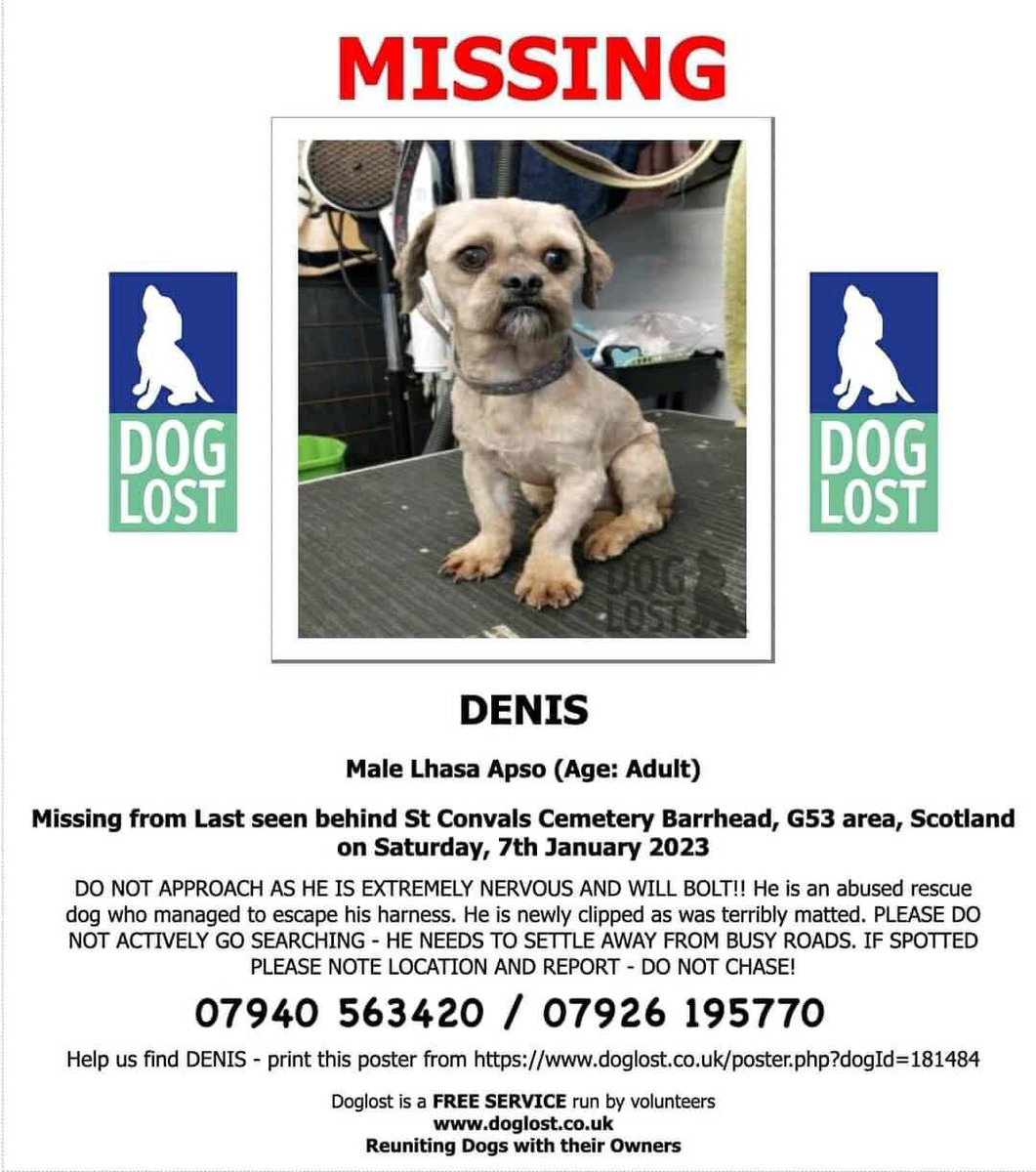 Shelagh Medic (@medicshelagh) on Twitter photo 