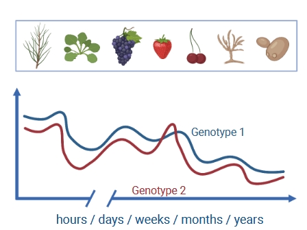 UMREGFV's tweet photo. Offering a 30 month post-doc position about the genetic bases of phenotypic plasticity...a passionating issue within a motivation project @GPR_BPS @INRAE_BIOGECO @UMREGFV contact: elisa.marguerit@agro-bordeaux.fr; jean-marc.gion@inrae.fr https://t.co/YlOhHZMcHt