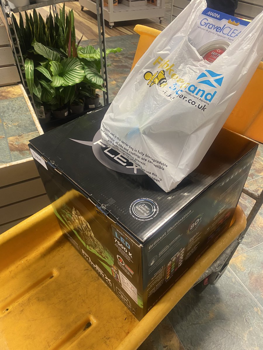 We are so lucky to have the opportunity to have an aquarium in our classroom this term thanks to <a href="/FishkeeperSco/">Fishkeeper Scotland</a>!! So excited to see all the learning that comes from our new topic!🐠
Tha C4/5 air bhioran!🥳