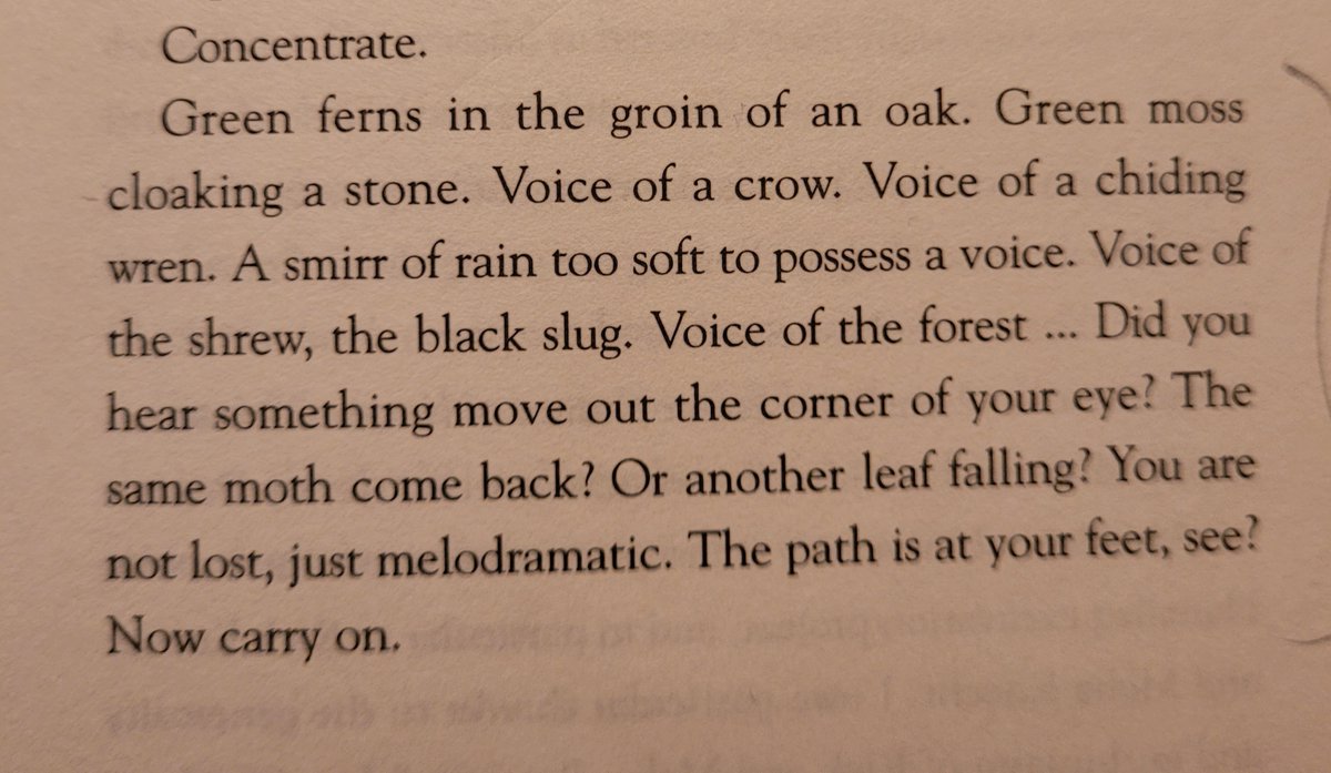 'A smirr of rain too soft to possess a voice...'

from 'Voice of the Wood' in 'Surfacing' by Kathleen Jamie'