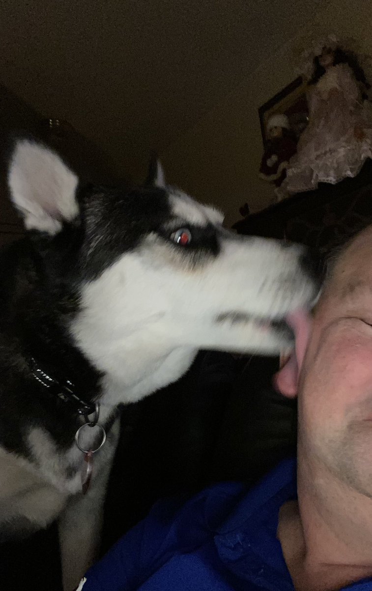 #huskylove #shesmypuppy #siberianhuskysarethebest