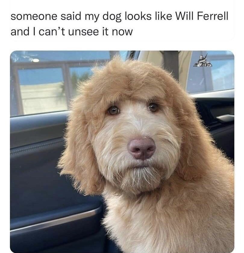 JacksonDavisHammond007 tweet media