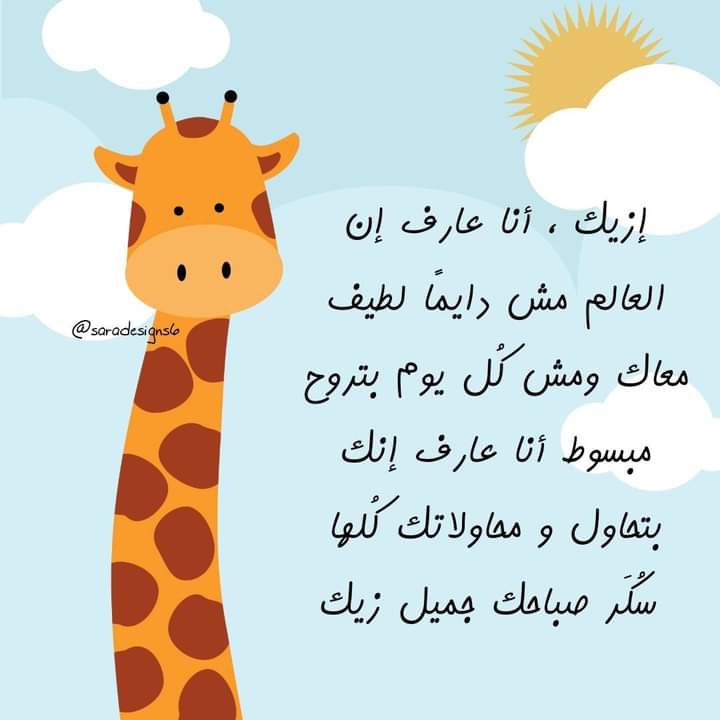 ♥ القطه الشقيه💙 (@badrantrustee) on Twitter photo 