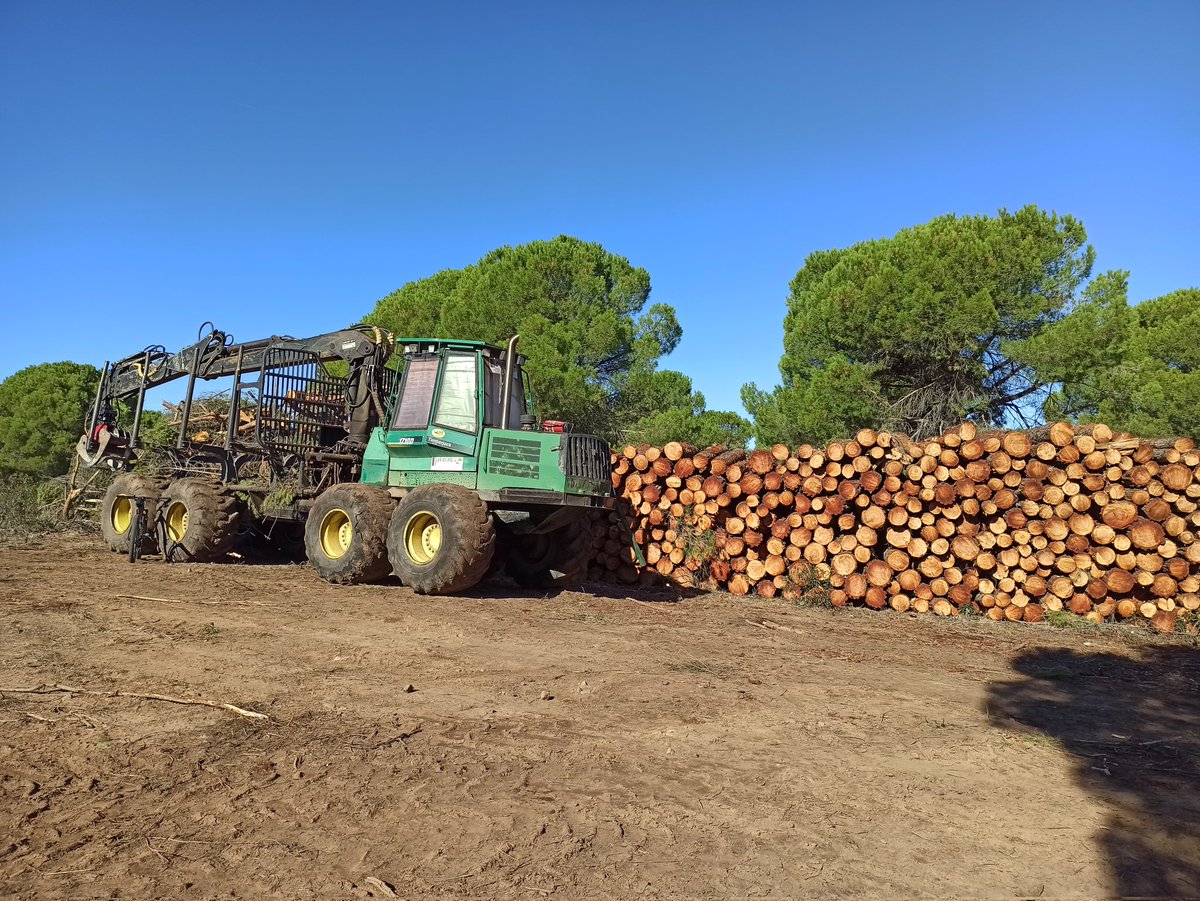 Cristiantwelve's tweet photo. Gestión forestal con procesadora en La Siberia extremeña https://t.co/0oLEjYlM17