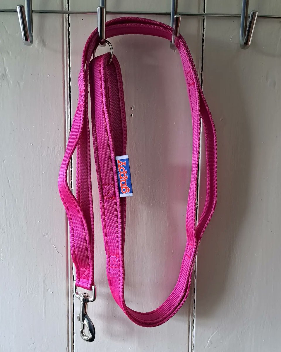 Grippy Leads tweet media