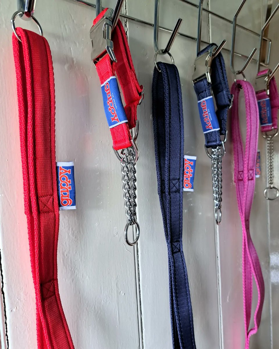 Grippy Leads tweet media