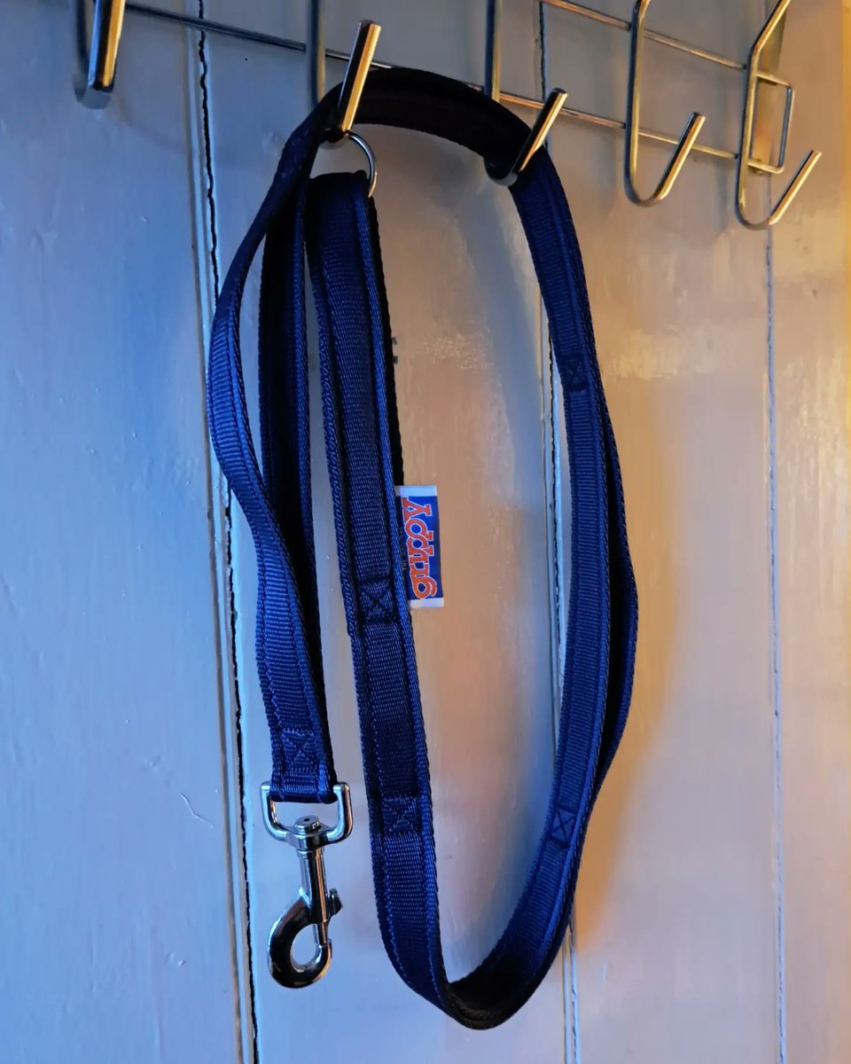 Grippy Leads tweet media