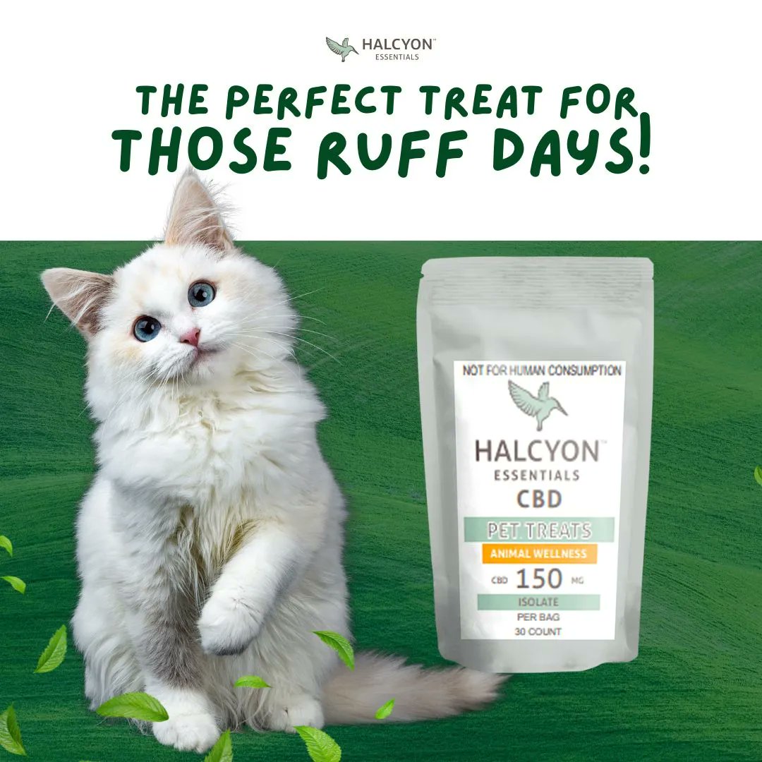 For all those #ruffdays, give your furry friends a natural way to help them relax! 

Order Halcyon CBD Pet Treats now- the perfect way to soothe and support their well-being! 🐶💕

#dailycbd #cbd #cbdoil #cbdforlife #cbdforpets #CBDproducts #pethealth #georgia #sandysprings