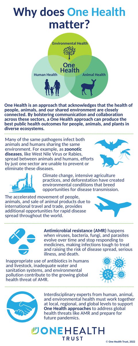 January is #OneHealthAwarenessMonth. Why does #OneHealth matter? Find out in our #infographic.

Learn about OHT's future headquarters for One Health research, education, and action in our podcast with OHT's  Ramanan Laxminarayan. Listen here:
onehealthtrust.org/news-media/pod…