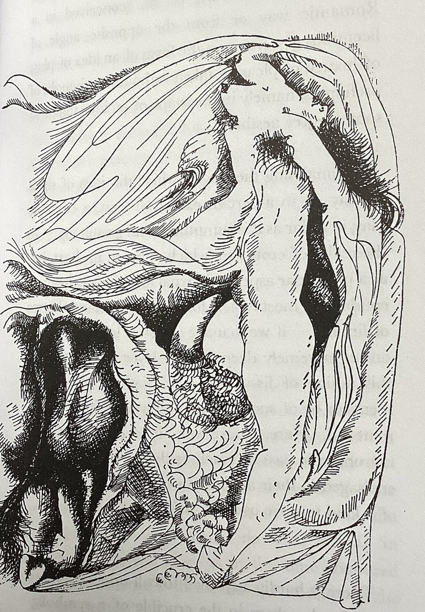 twinkletwink's tweet photo. the best Andre Masson illustration in Michel Leiris’s book Mirror of Tauromachy #andremasson #michelleiris @AtlasPress1 https://t.co/kDL1l0WuR8