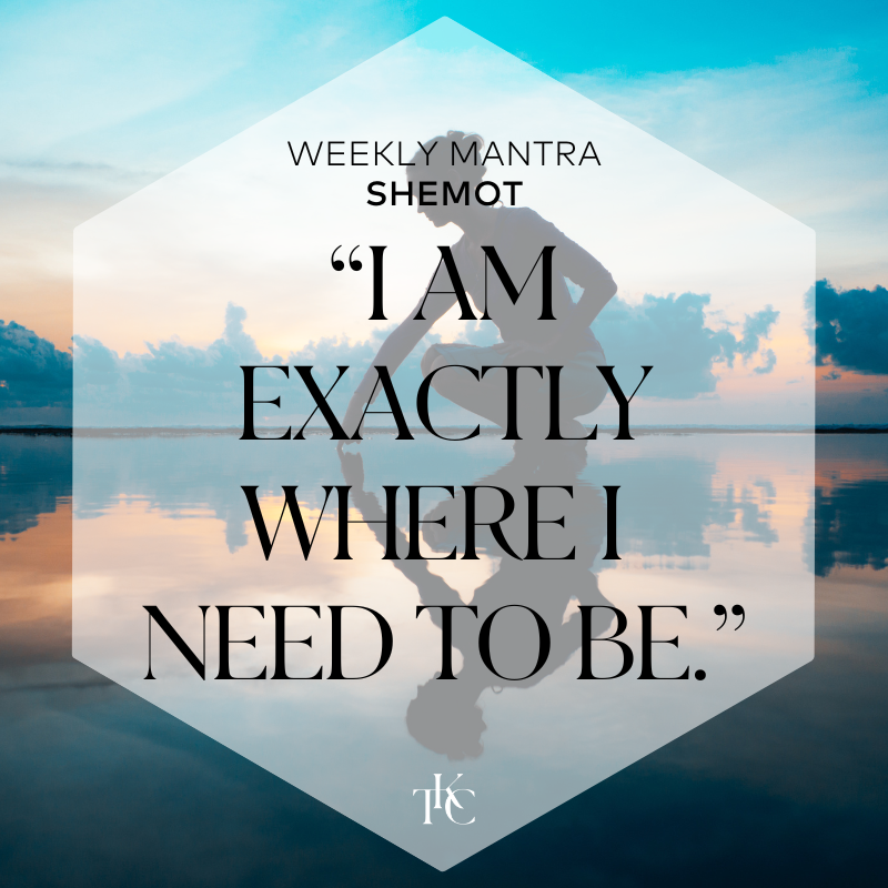 kabbalahcentre's tweet photo. What does being fully present look like to you? This week, give yourself permission to fully enjoy the moment, here and now. Know that everything is in divine order and that you are exactly where you’re meant to be.  Let this be your mantra this week. https://t.co/ltkZPavuGm