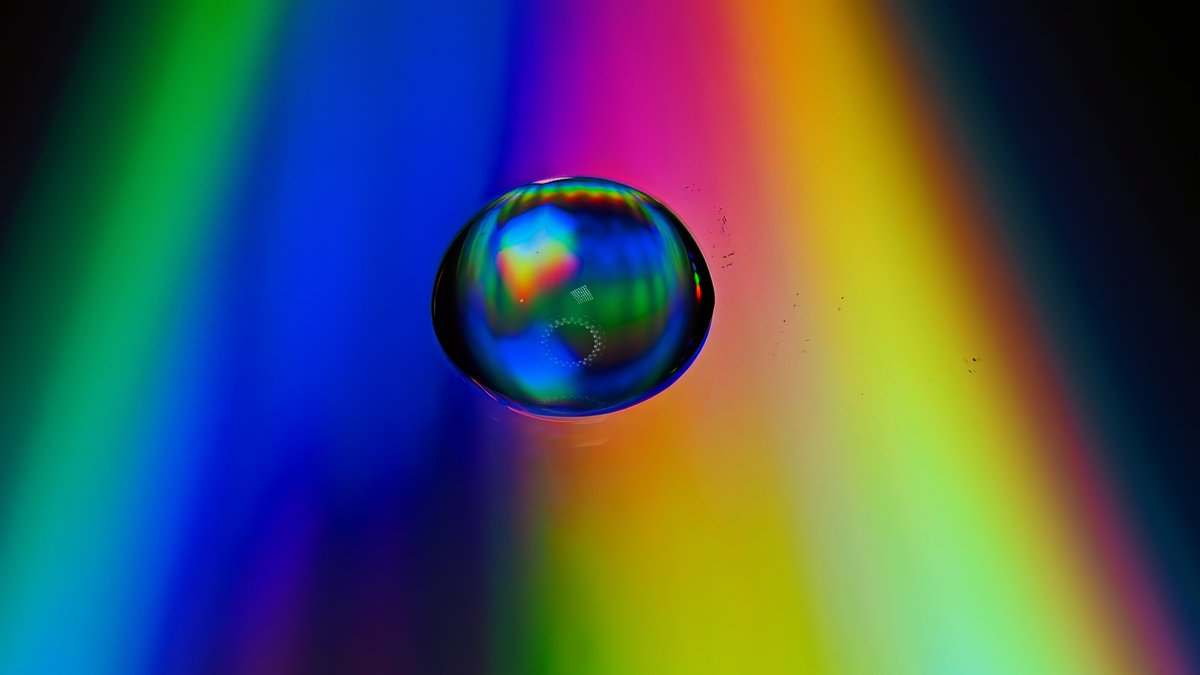 Definitely an indoor photography type of day.