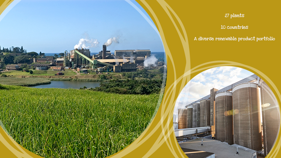 Our LOCAL CHAMPIONS are helping to #decarbonise our 27 plants in 10 countries by working to develop new products and revenue streams;  helping to reduce waste by maximising every part of our raw material, sugar beet and sugar cane. 
#sustainability #GMLC
absugar.com/sustainability…