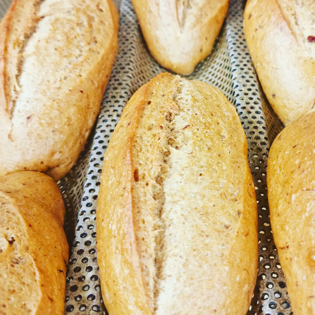 ash spencer (@ashchef_spencer) on Twitter photo Todays bread selection <a href="/BakeryWkc/">WKCBakery</a> with <a href="/marriagesflour/">Marriage’s Flour</a> #bread, #Bakery, #baguettes #Sourdough, #Foccacia <a href="/WKC_Hospitality/">WestKing Hospitality</a> <a href="/thevincentrooms/">The Vincent Rooms</a> Todays bread selection <a href="/BakeryWkc/">WKCBakery</a> with <a href="/marriagesflour/">Marriage’s Flour</a> #bread, #Bakery, #baguettes #Sourdough, #Foccacia <a href="/WKC_Hospitality/">WestKing Hospitality</a> <a href="/thevincentrooms/">The Vincent Rooms</a>