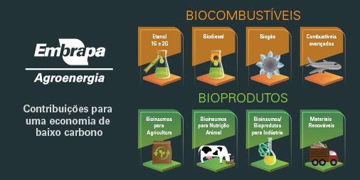 @EmbrapaAgroenergia tweet media