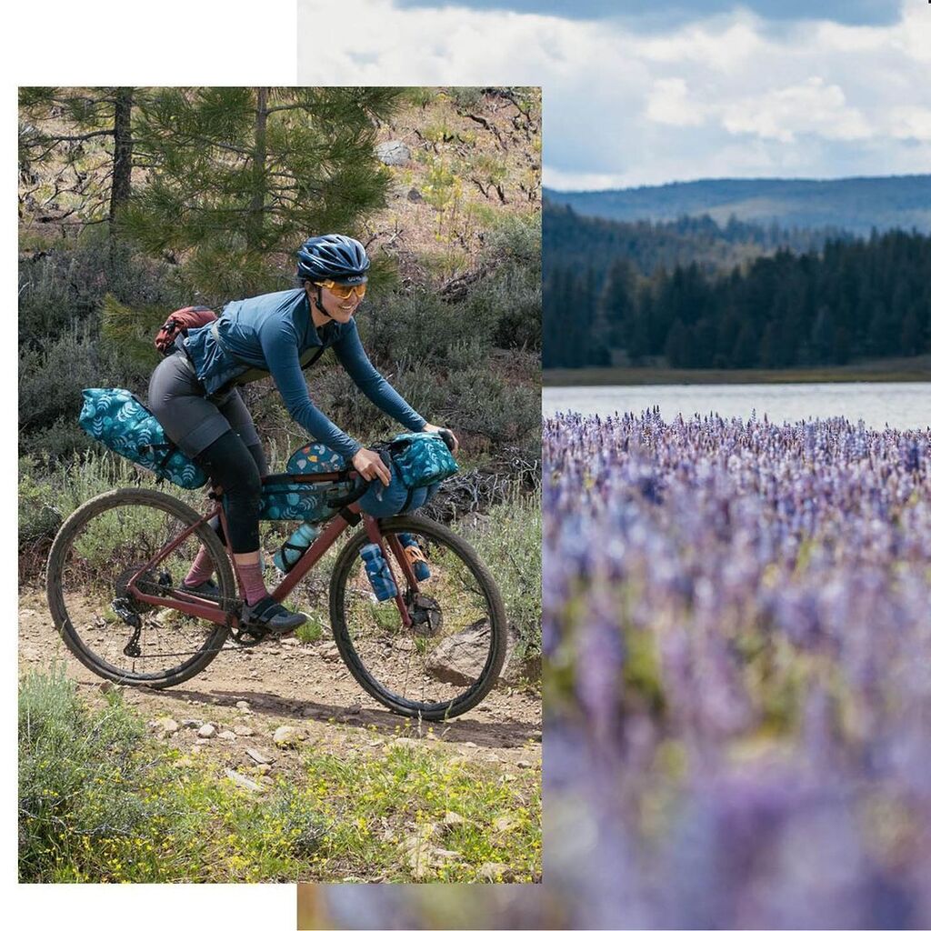OuterShellAdven's tweet photo. Dreaming of these lavender fields with springtime just around the corner 🫶 @alpinemily recently published this ride on @bikepackingcom called Sardine Lookout Tower Overnighter!
.
.
.
#outershell #simworks #bikebag #bikepackinglife #gravelgrinding #bikecamping #handlebarbag… https://t.co/wnXs9LPJgZ