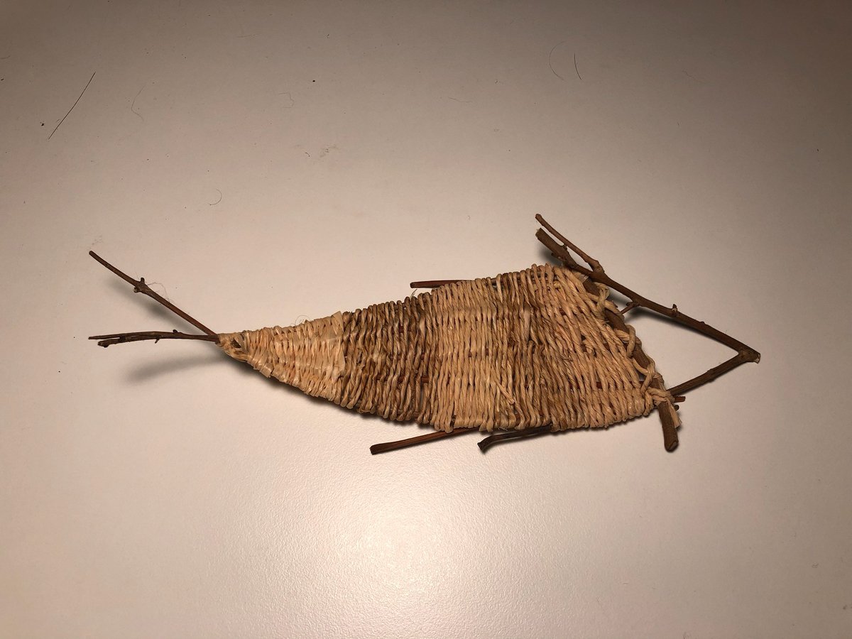 weaverHG's tweet photo. Made some fish over the holidays using mostly plants from the garden #weaving #basketry #foragedfibres #naturecrafts https://t.co/qLypNvZ235