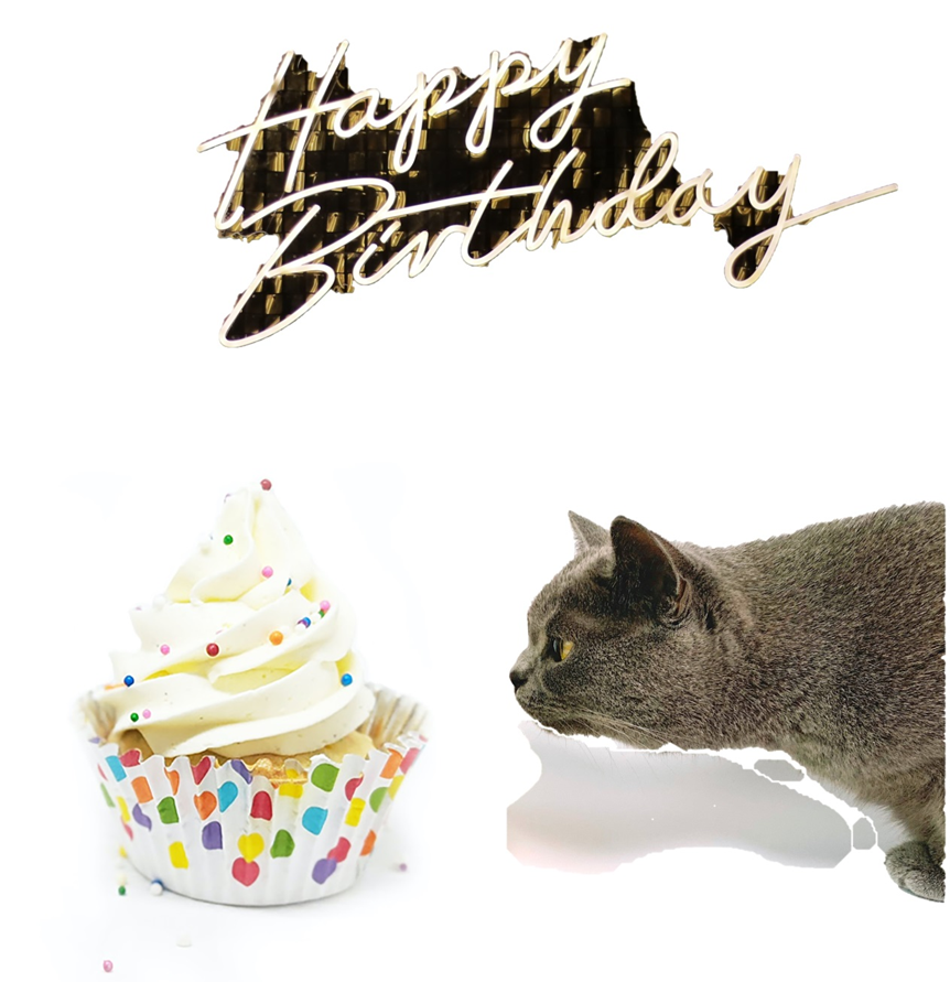 VolcanicMotion's tweet photo. These ADORABLE Birthday Cards are just US$1

#happybirthday #electronicbirthdaycard #birthdaycard #celebration #cat #dog #pet

Visit here: https://t.co/e5ddCS4pKo https://t.co/rPfMHuosgH