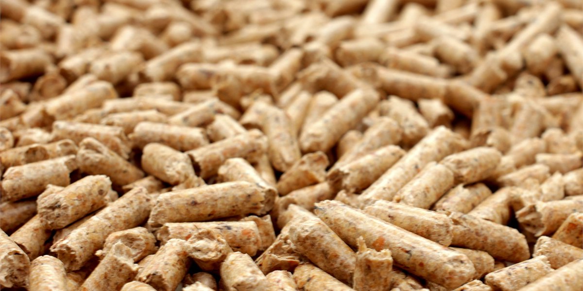 biomassafeiten's tweet image. Enviva Inc., een toonaangevende producent van duurzaam geproduceerde houtachtige biomassa, heeft een de  verklaring afgegeven met betrekking tot de motie van het Nederlandse parlement over duurzaam geproduceerde biomassa.

biomassafeiten.nl/2023/01/10/env…

#biomassa #biomassafeiten #motie