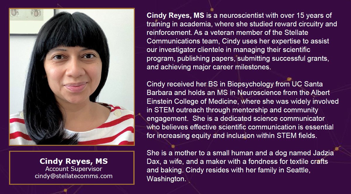 Stellate Communications tweet media