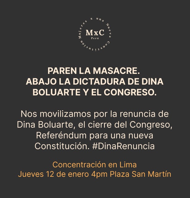 Mujeres por Nueva Constitución tweet media