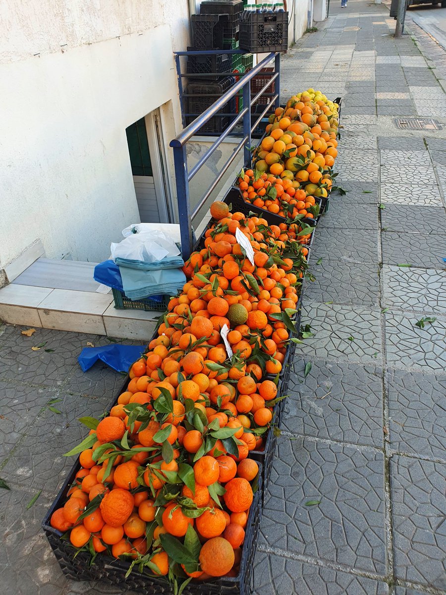 Oranges, Tangerines anyone?
#streetvendor #oranges #saranda