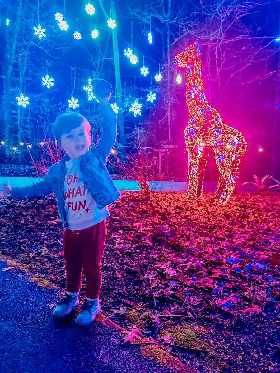 UGA Botanical Garden tweet media