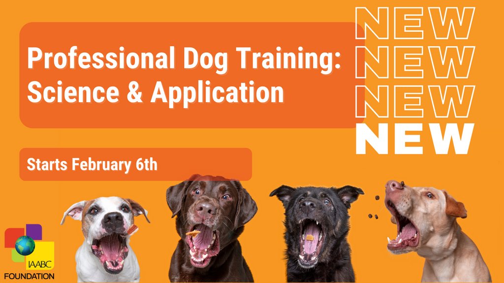 Int’l Association of Animal Behavior Consultants tweet media
