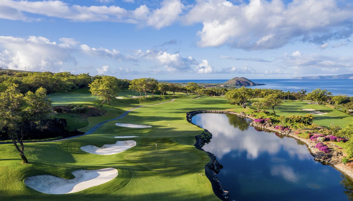 🚨This evening we will be releasing our new picks for this years Sony Open in Hawaii, played at the gorgeous Waiʻalae Country Club 🚨

Visit formgolfer.com and sign up
ITS FREE!!

<a href="/SonyOpenHawaii/">Sony Open in Hawaii</a> 
#golfbets
#PGA
#golftalk