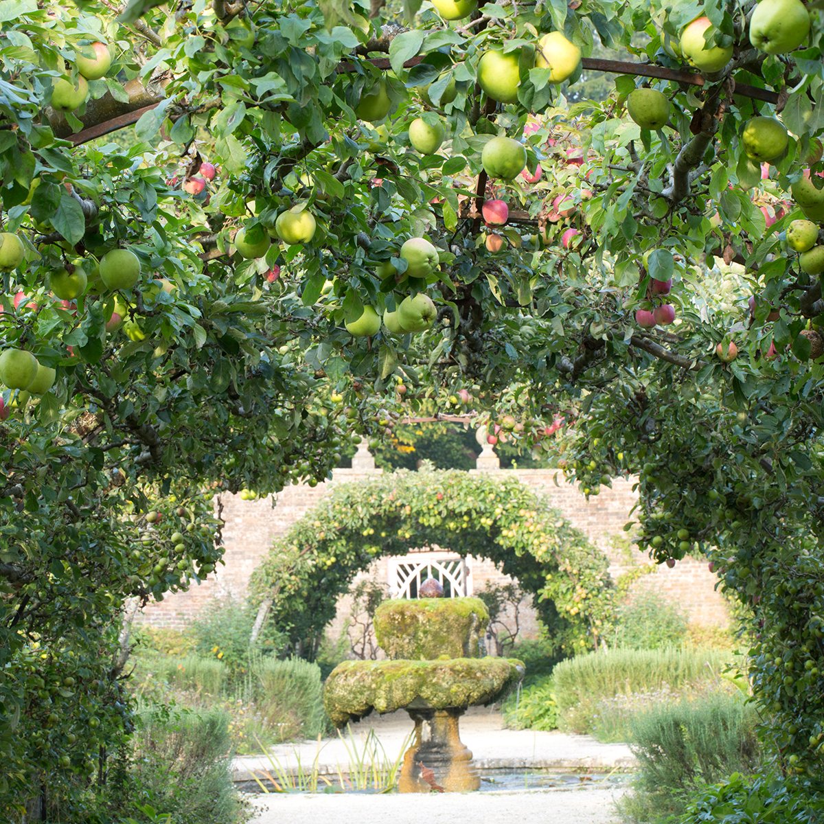Highgrove Gardens on Twitter: &ldquo;Highgrove’s Kitchen Garden is a perfect